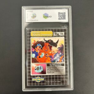 EVOLVETEVI CAMPIONI (PRISM FOIL) - 003 - DIGIMON - GRAAD 8,5 - immagine 2