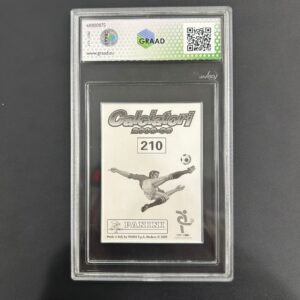 PAVEL NEDVED - PANINI 2008-2009 - 210 - GRAAD 9,5 - immagine 2